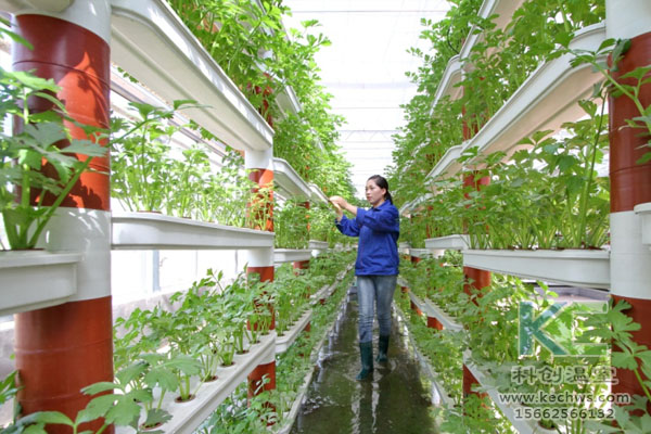 無土栽培,無土栽培技術,無土栽培設備