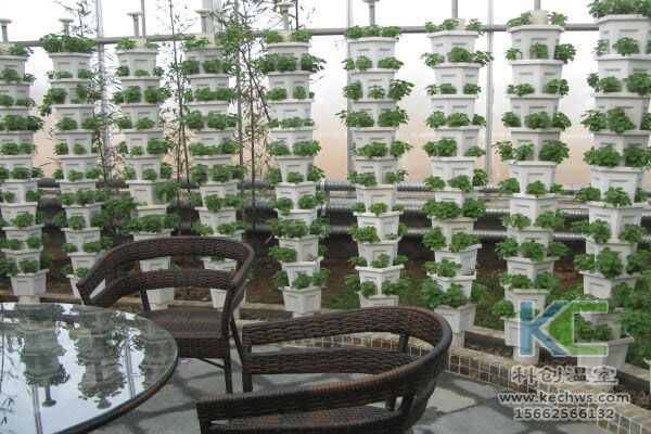 無土栽培，無土栽培技術(shù)，無土栽培設(shè)備