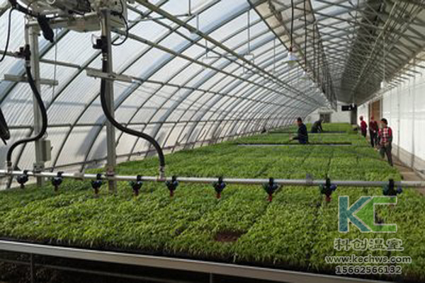 無土栽培，無土栽培技術，無土栽培設備