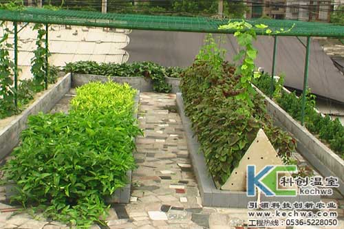 無土栽培，無土栽培技術，無土栽培設備