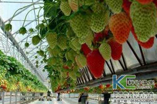 無(wú)土栽培，無(wú)土栽培技術(shù)，無(wú)土栽培設(shè)備