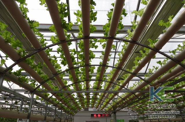 無土栽培，無土栽培技術(shù)，無土栽培設(shè)備