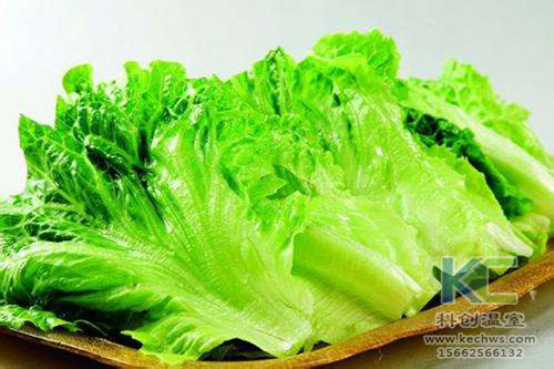 無土栽培，無土栽培技術(shù)，無土栽培設(shè)備