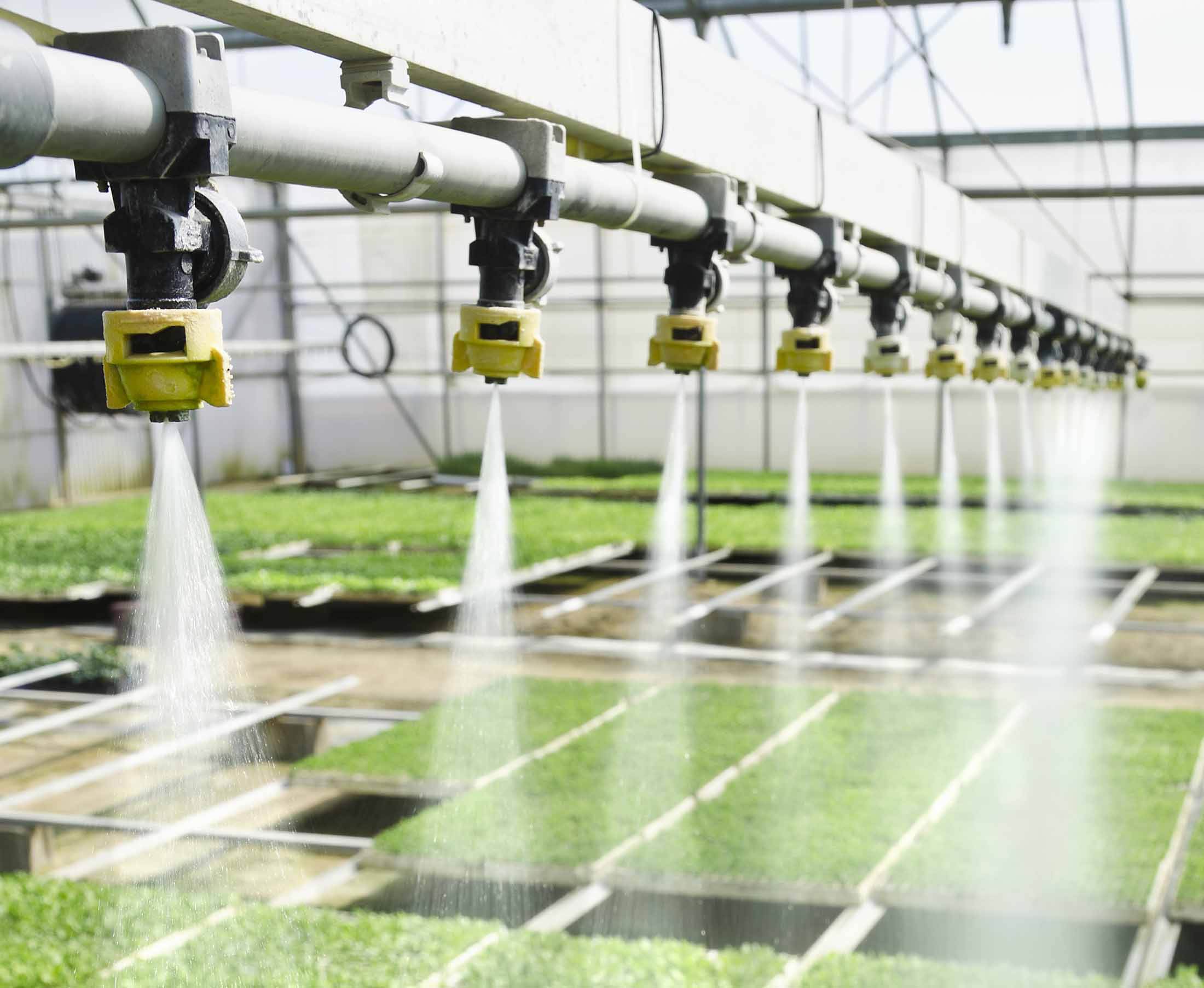 無(wú)土栽培，無(wú)土栽培技術(shù)，無(wú)土栽培設(shè)備