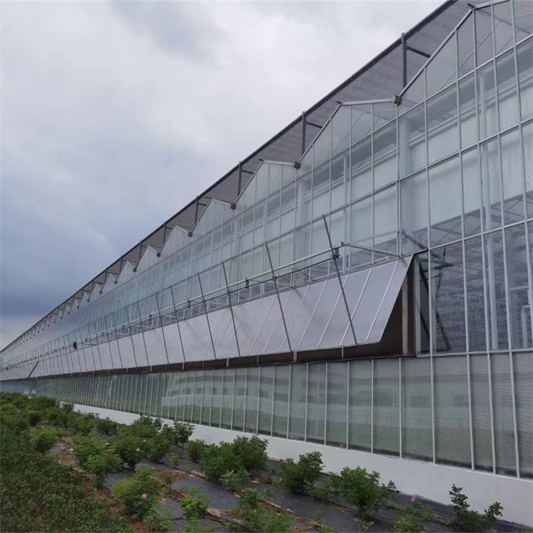 無土栽培，無土栽培技術，無土栽培設備