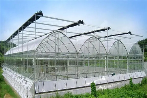 無土栽培，無土栽培技術(shù)，無土栽培設(shè)備