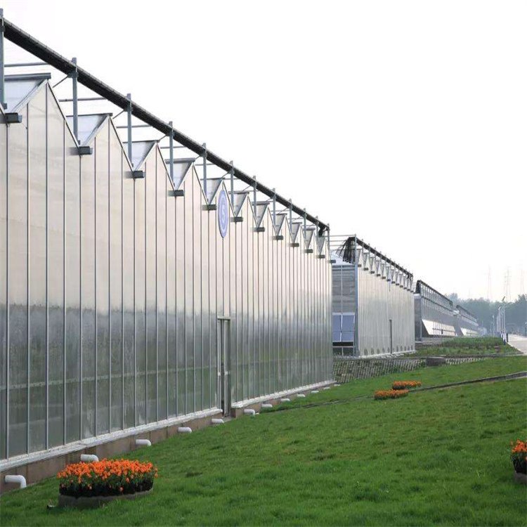 無土栽培，無土栽培技術，無土栽培設備