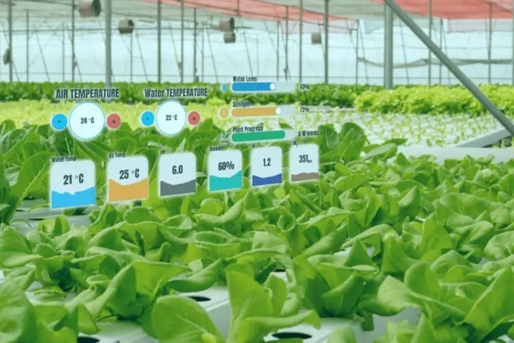 無土栽培，無土栽培技術(shù)，無土栽培設(shè)備