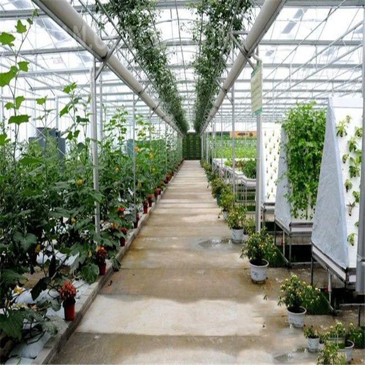 無土栽培，無土栽培技術，無土栽培設備