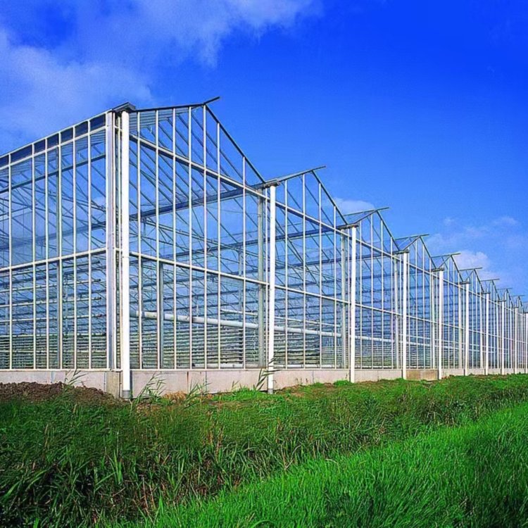 無土栽培，無土栽培技術，無土栽培設備