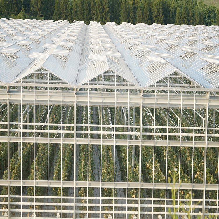 無土栽培,無土栽培技術,無土栽培設備