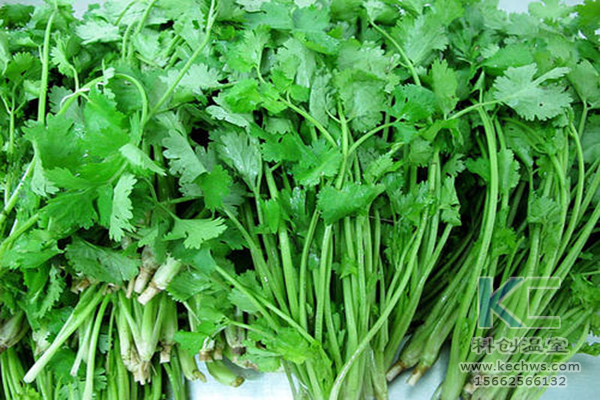 無土栽培，無土栽培技術(shù)，無土栽培設(shè)備