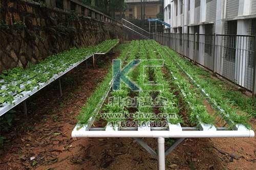 無土栽培，無土栽培技術，無土栽培設備