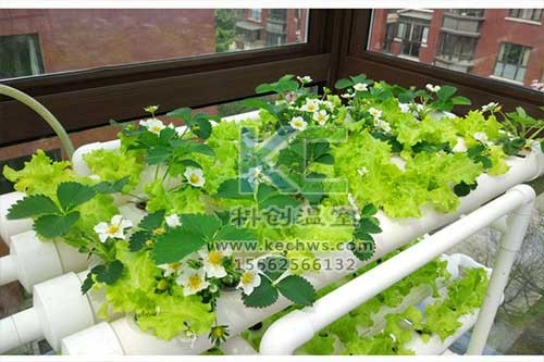 無土栽培，無土栽培技術，無土栽培設備