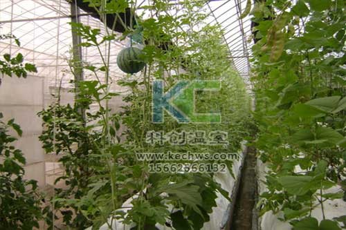 無土栽培，無土栽培技術，無土栽培設備