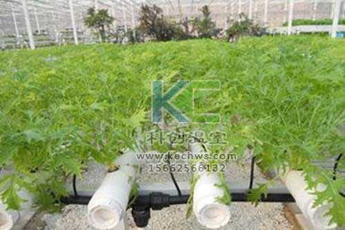 無土栽培，無土栽培技術，無土栽培設備