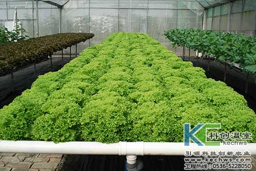 無土栽培，無土栽培技術，無土栽培設備