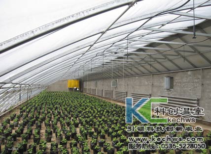 無土栽培，無土栽培技術，無土栽培設備