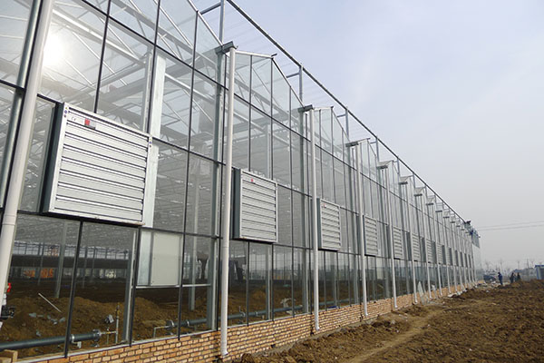 無土栽培，無土栽培技術，無土栽培設備