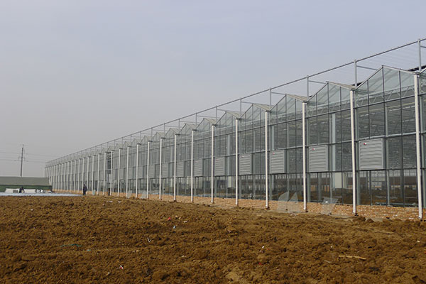 無土栽培，無土栽培技術，無土栽培設備