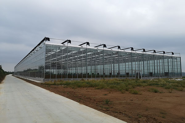 無土栽培，無土栽培技術，無土栽培設備