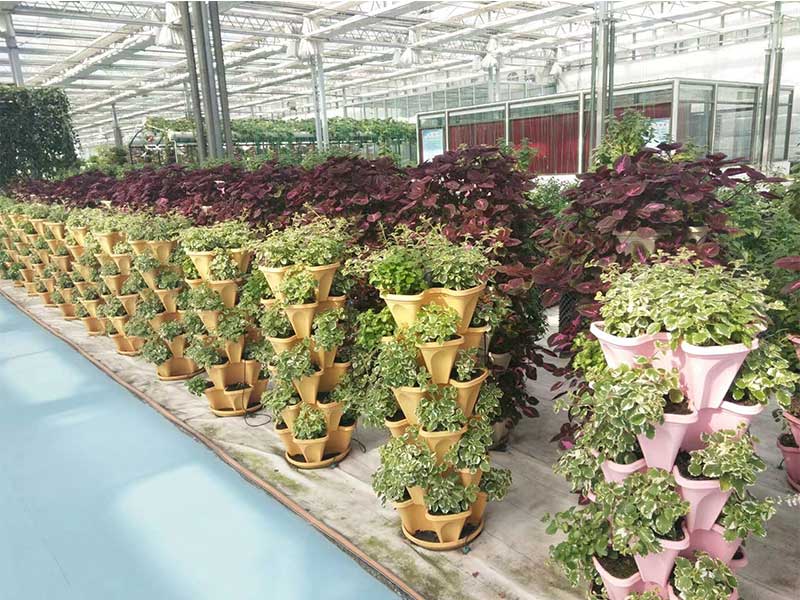 無土栽培，無土栽培技術(shù)，無土栽培設(shè)備