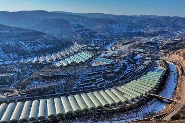 無土栽培，無土栽培技術(shù)，無土栽培設(shè)備